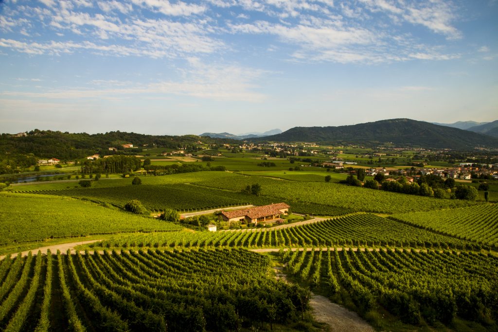 Ronco Calino