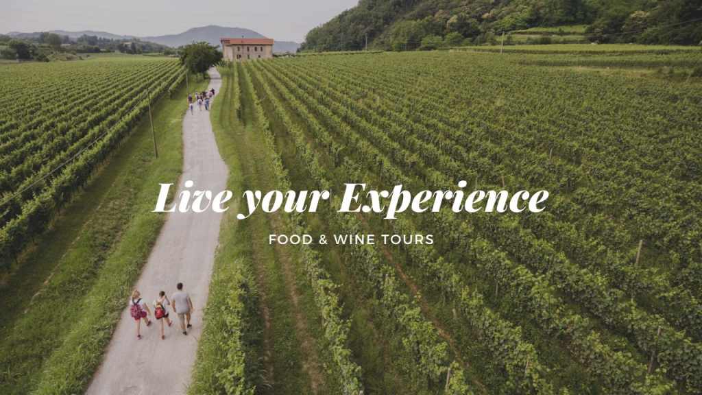 Bacchus Tour