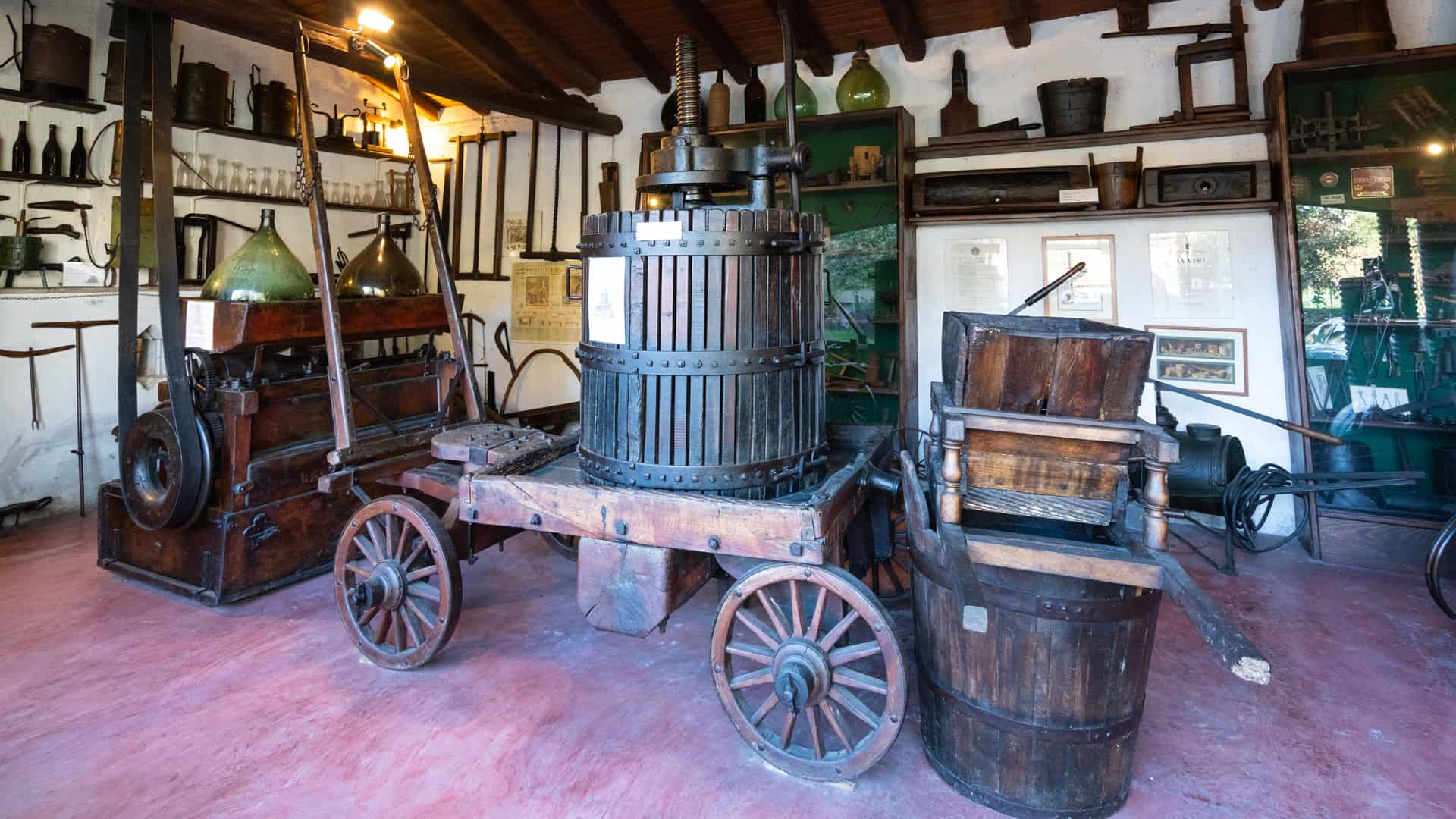 museo ricci curbastro
