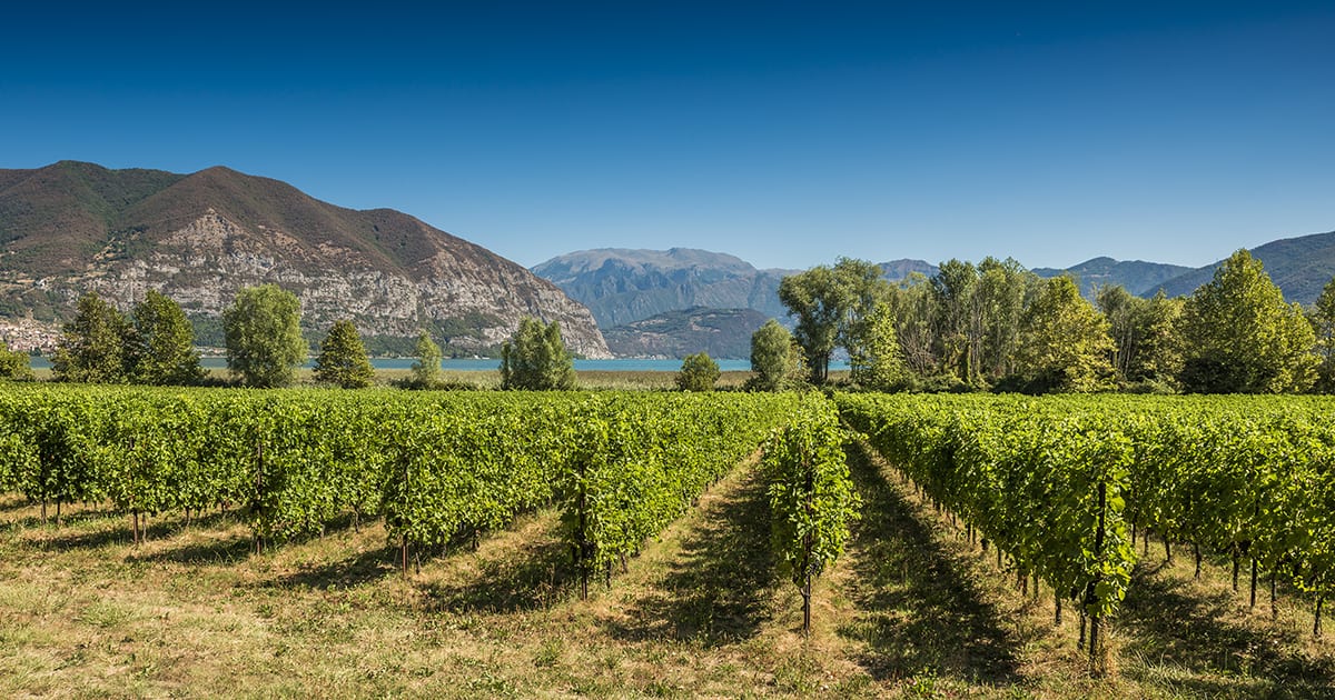 franciacorta sebino