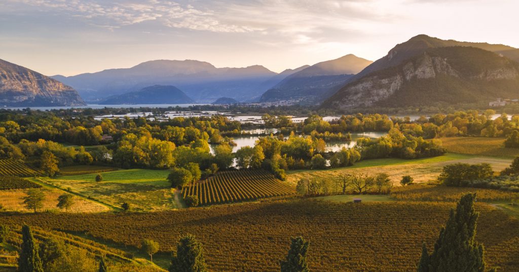 Franciacorta Vini Viticoltura Franciacorta DOCG