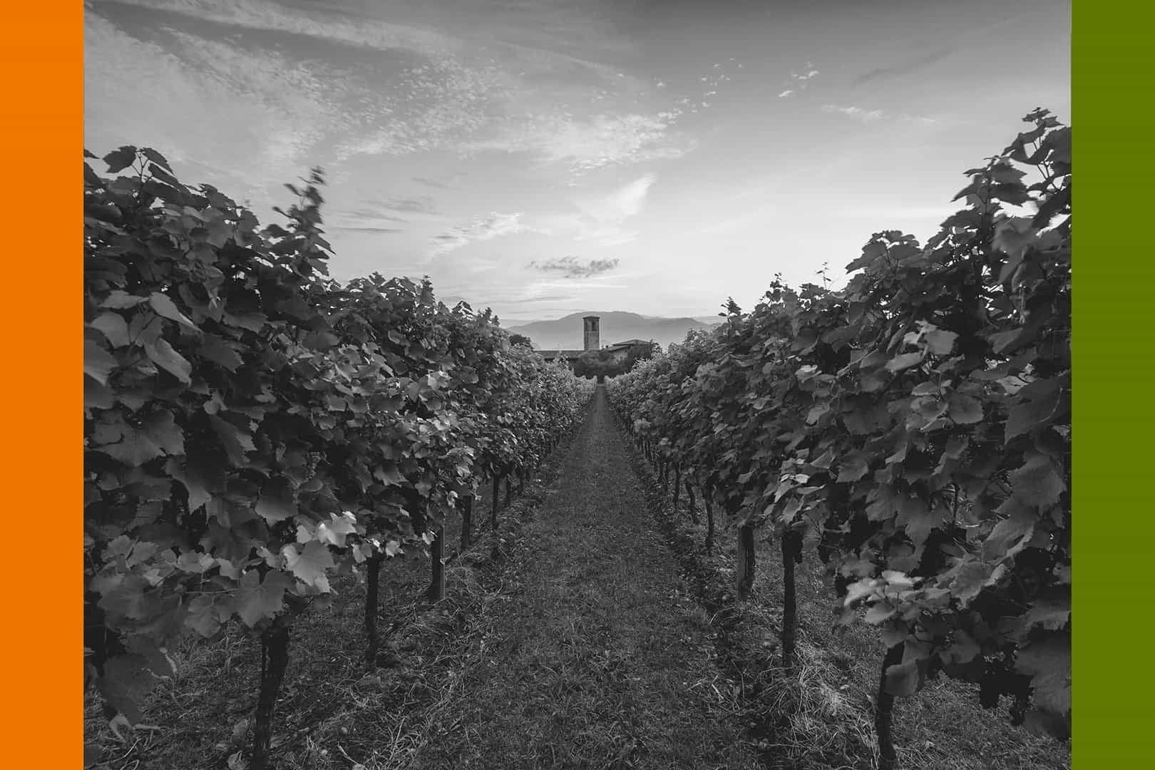 Magia in Franciacorta • Talk Show con Neri Marcoré e Camilla Baresani