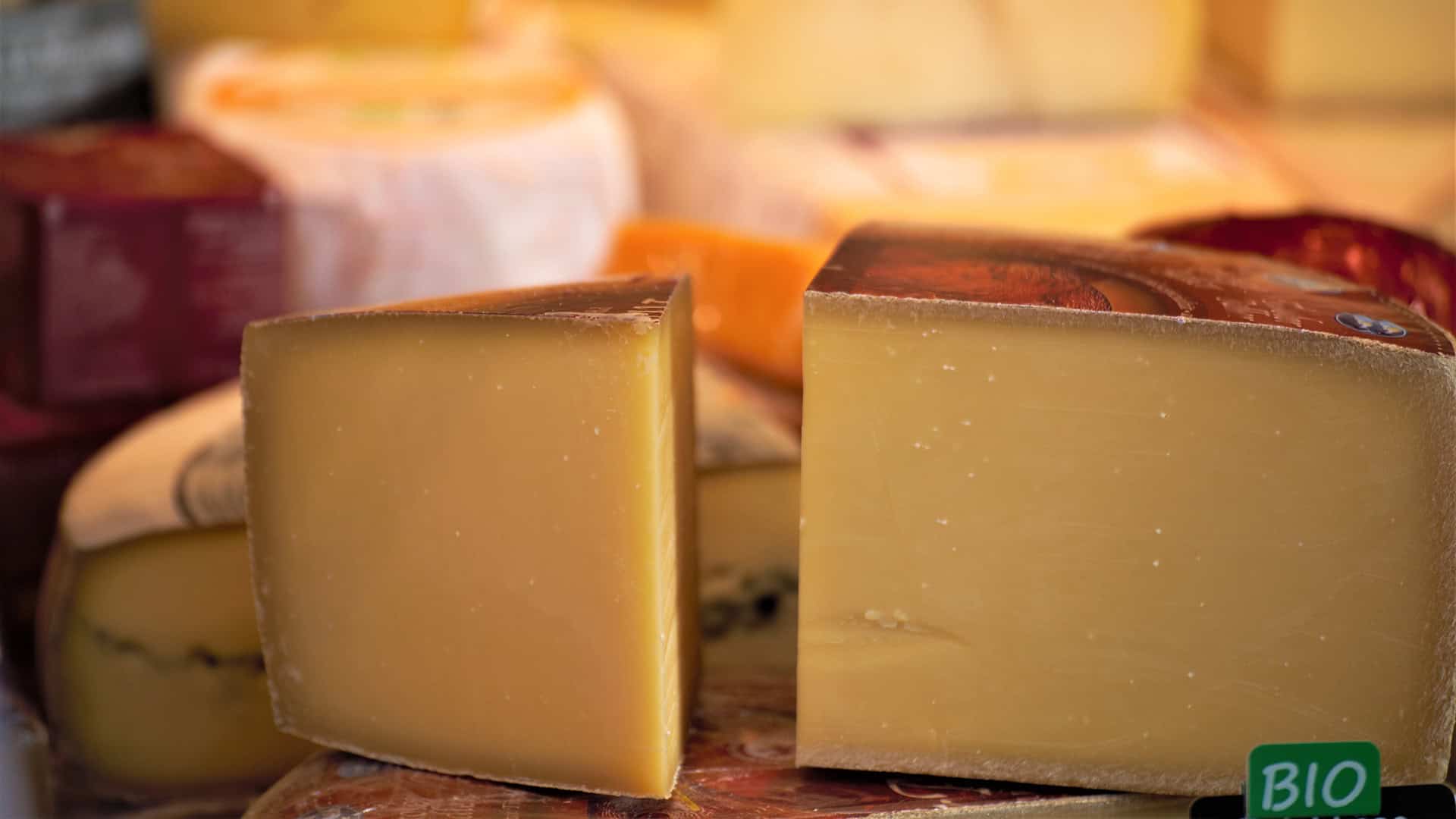 In Bianco - Le valli bresciane in dieci formaggi