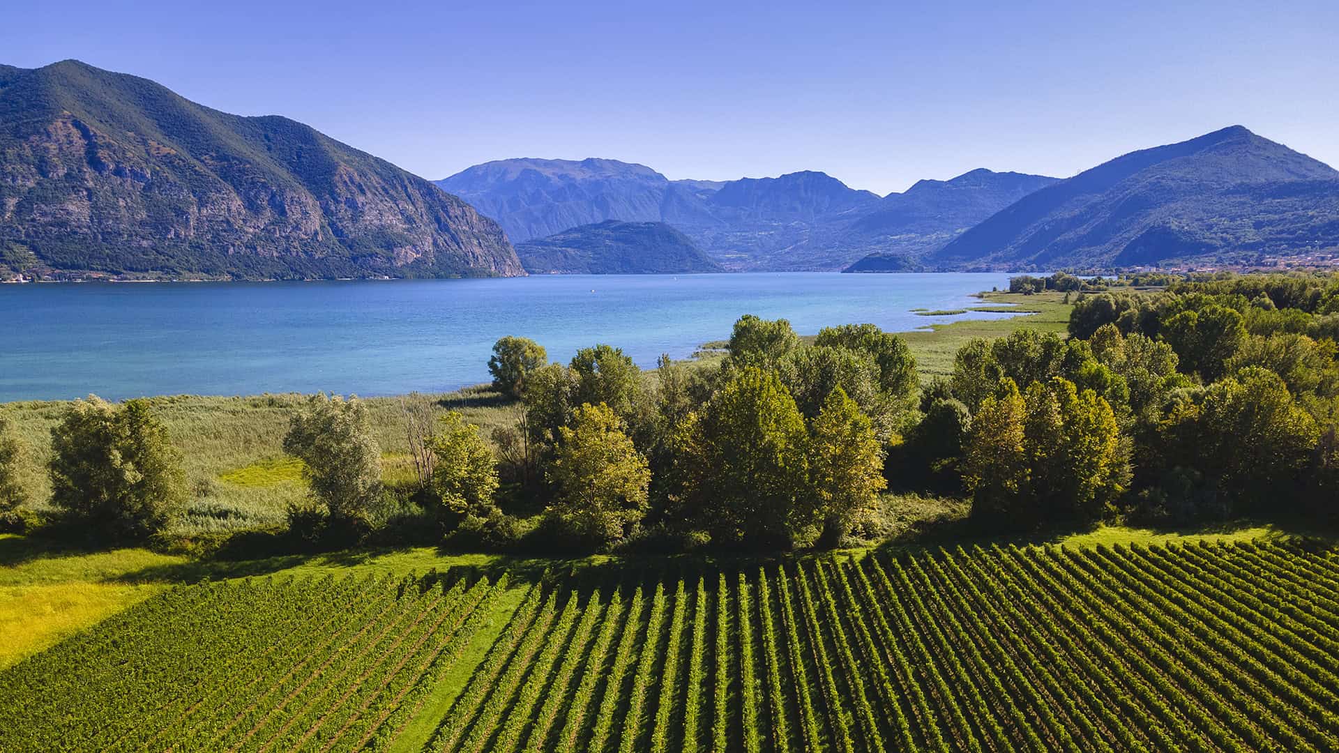 Lonely Planet e Visit Brescia: un progetto per scoprire la Franciacorta e il Lago d’Iseo in 48 ore