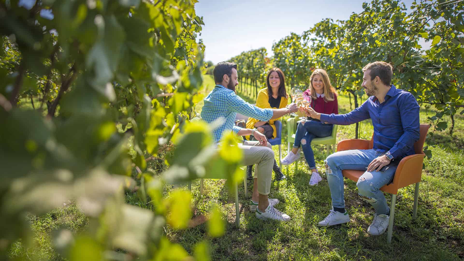 Festival Franciacorta in Cantina - 13, 14, 15 Settembre 2024