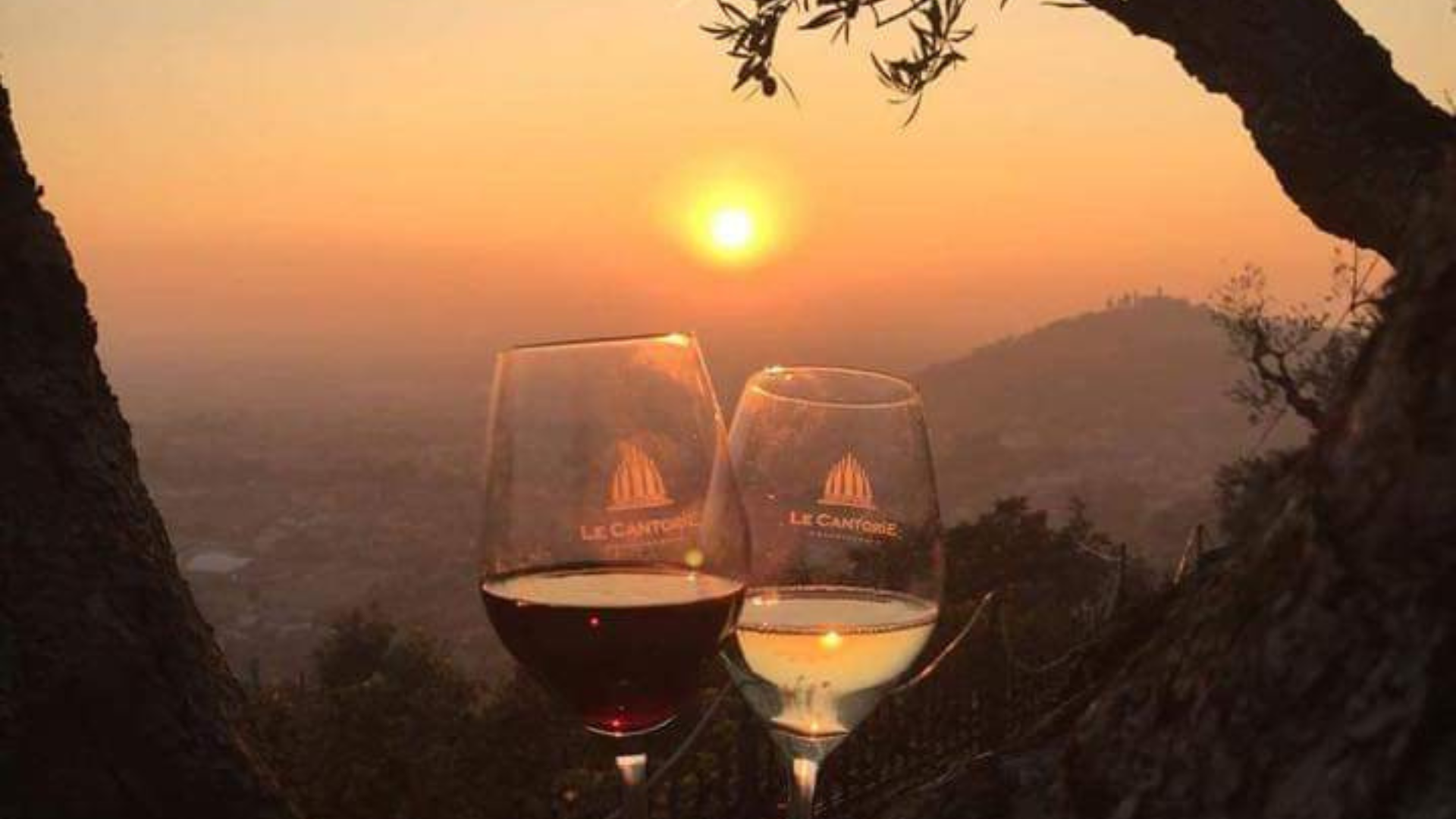 Aperitivo in Vigna al Tramonto
