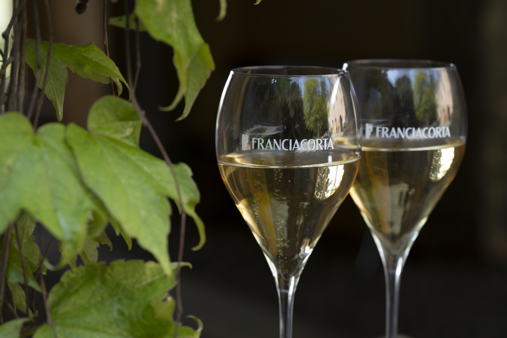 Franciacorta - Operatori turistici
